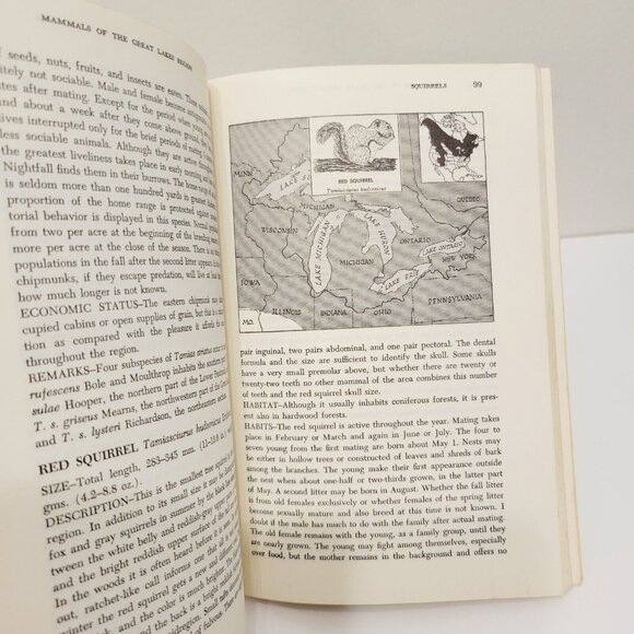 Vtg 1972 MAMMALS of the GREAT LAKES REGION by WILLIAM H. BURT - Picture 4 of 8